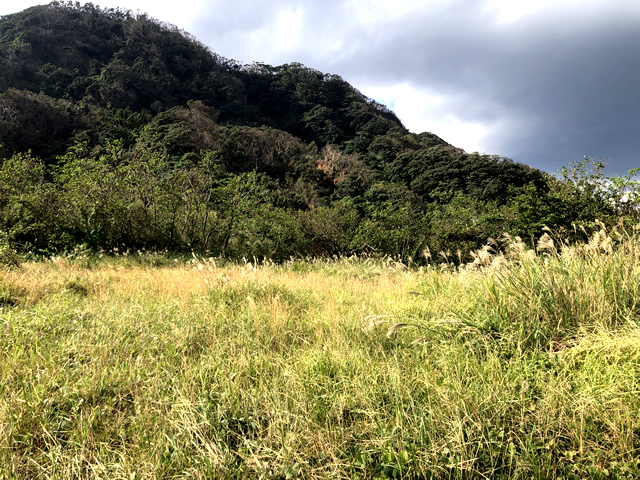 三根_柿の木坂1